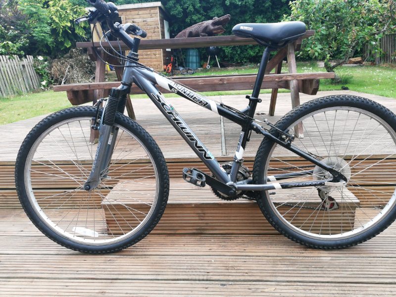 schwinn frontier men's bike